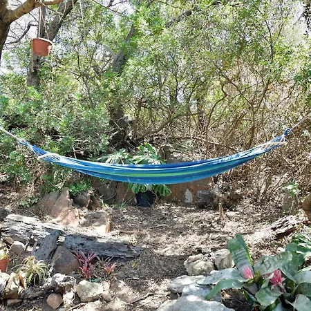 Colori Della Sardegna *